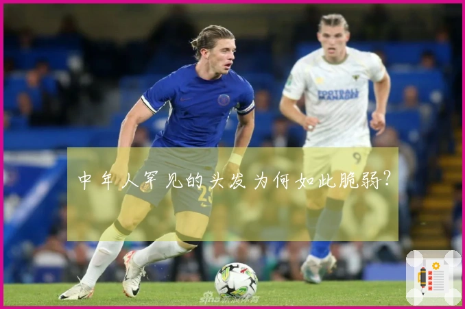 中年人罕见的头发为何如此脆弱？