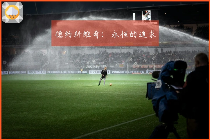 德约科维奇：永恒的追求