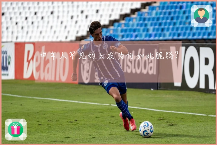 中年人罕见的头发为何如此脆弱？