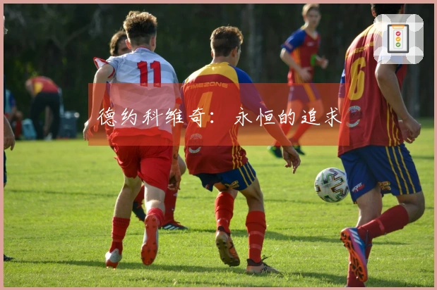 德约科维奇：永恒的追求