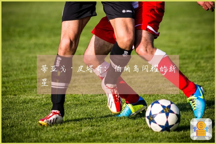 蒂亚戈·皮塔奇：伯纳乌闪耀的新星